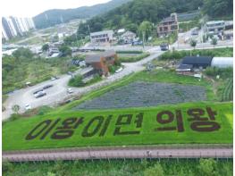 의왕시, 벼아트·연꽃 볼거리로 눈이 즐거운 농촌경관지 기사 이미지